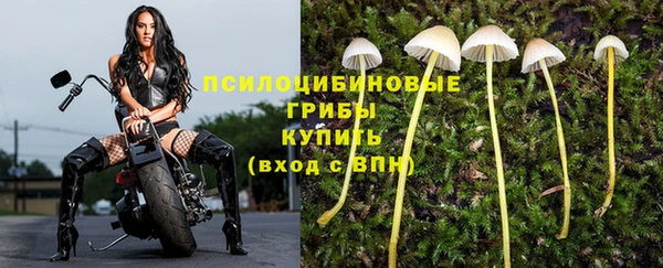 прущая мука Баксан
